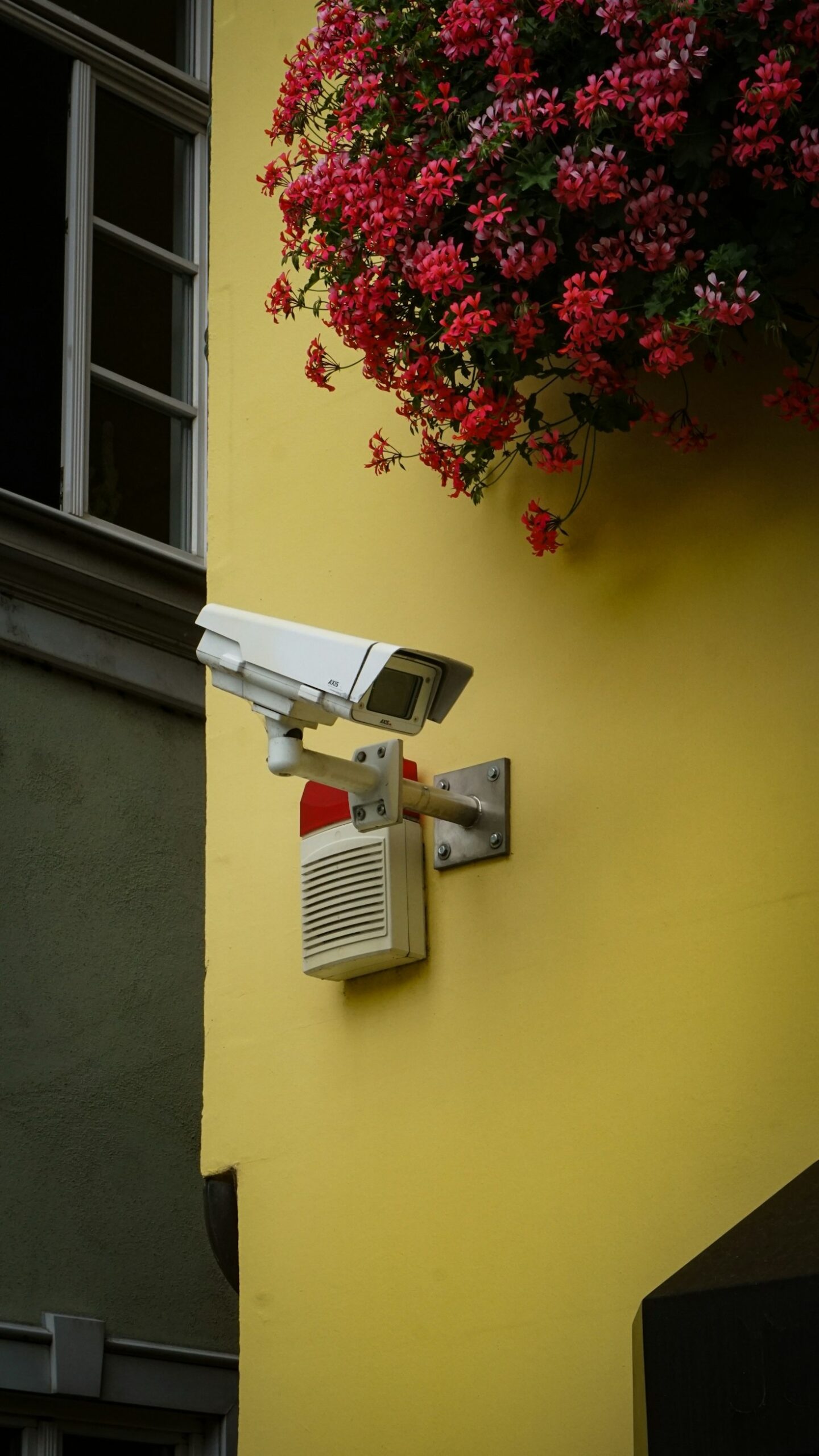 Expert Tips for Choosing the Right Monitoring App